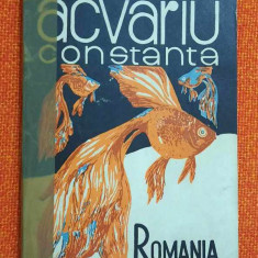 Acvariu Constanta Romania - Marcel Stanciu