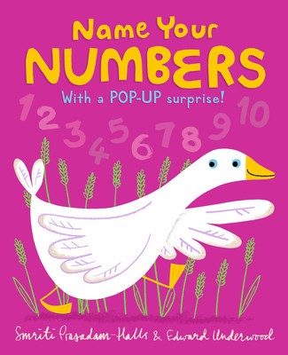 Name Your Numbers foto