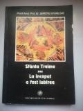 Sfanta Treime sau La inceput a fost iubirea - Preot Acad. Prof. Dr. Dumitru Staniloae, acum sfant