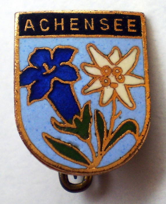 I.243 INSIGNA AUSTRIA TURISM DRUMETIE ACHENSEE FLOARE DE COLT BRANDUSA email