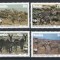 Namibia 1991 Mi 702/05 MNH - WWF: zebra de munte