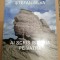POEZII - AI SCRIS ISTORIA PE VATRA - STEFAN SILVA