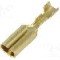 Terminal tip plat, pentru surub {{Orificiu pentru &amp;#351;urub}}, VOGT - 3760A.60