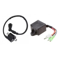 CDI + Bobina Inductie Scuter PGO Rodoshow 49cc 50cc 80cc