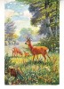 D11 A 10 - Felicitare de colectie - circulata la 1905 - Frankfurt, Germania, Printata
