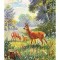 D11 A 10 - Felicitare de colectie - circulata la 1905 - Frankfurt