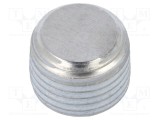 Dop filetat conic R 1 din oțel inoxidabil HEX 17mm ELESA GANTER
