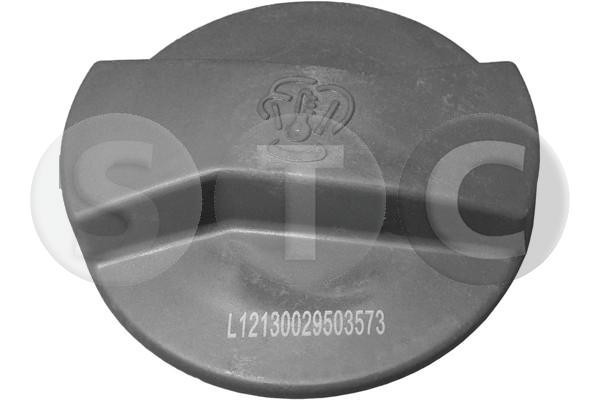 STC T403573 buson,vas expansiune