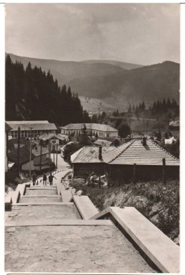 CPIB 22733 - CARTE POSTALA - BORSEC. VEDERE SPRE DEPRESIUNEA BORSEC foto