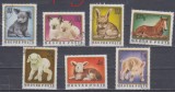 A12 S4 9 - Timbre foarte vechi - Ungaria - pui de animale