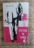 PIETON IN CUBA-POP SIMION
