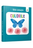 Culorile - Aino-Maija Metsola - Gama