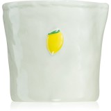 Paddywax Bistro Meyer Lemon lum&acirc;nare parfumată 226 g