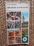 DRUMURI SI POPASURI - ADINA ARSENESCU
