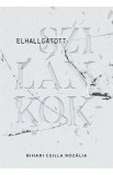 Elhallgatott szilankok - Bihari Csilla Rozalia