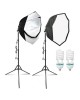 Kit de 2 softboxuri octagonale, 2 trepiezi reglabili 200 cm, 2 becuri 150W, Dactylion