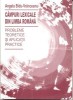 Campuri lexicale din limba romana Probleme teoretice si aplicatii practice / Angela Bidu-Vranceanu