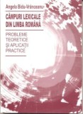 Campuri lexicale din limba romana Probleme teoretice si aplicatii practice / Angela Bidu-Vranceanu