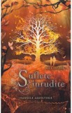 Suflete inrudite. Umbrele amintirii - Nica Stevens