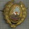 Y 1588 INSIGNA-MILITARA-EMBLEMA COIFURA- SUBOFITER -RSR -PENTRU COLECTIONARI