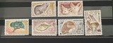 PC46 - Coasta Franceza Somalia 1962 Flora/ Fauna, serie MNH, 6v