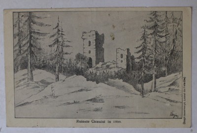 RUINELE CICEULUI IN 1800 , GRAFICA REPRODUSA , CARTE POSTALA , INCEPUTUL SEC. XX foto