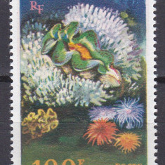 DB1 Fauna Marina Corali 1962 Ins. Comore 1 v. PA MNH