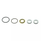 Set de garnituri pentru unitatea de vopsitorie, set, garnituri, dedra ded74210 se potriveste cu ded7421