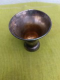 Pahar/cupa argintata