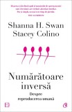 Numaratoare inversac, Curtea Veche