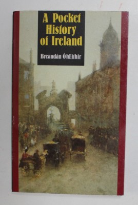A POCKET HISTORY OF IRELAND by BRENDAN O hEITHIR , ANII 1989 foto