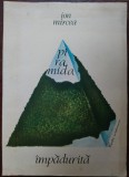 Cumpara ieftin ION MIRCEA - PIRAMIDA IMPADURITA (POEZII,princeps 1989/coperta SORIN DUMITRESCU)