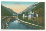 1237 - Baile HERCULANE, vila Elisabeta, Romania - old postcard - unused, Necirculata, Printata