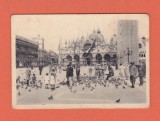 AMS @ - FOTO VENEZIA VENETIA - PIAZZA S. MARCO, animata, dimensiune mica