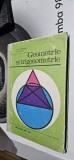 Cumpara ieftin GEOMETRIE SI TRIGONOMETRIE ANUL I LICEE LAURA CONSTANTINESCU CRISTU PETRISOR