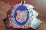 QW14 - Emblema militara - anii 1990 - politie - piesa de colectie