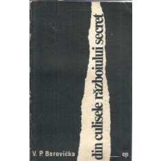 Din culisele razboiului secret - V. P. Borovicka
