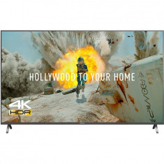 Televizor LED TX-49FX700E, Smart TV, 123 cm, 4K Ultra HD foto