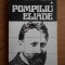 Ioana Vusdea - Pompiliu Eliade