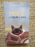 David Michie - Pisica lui Dalai Lama