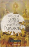 Susan Tassone - Rugaciuni, promisiuni si devotiuni pentru sfintele suflete din
