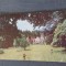 CPIB 23159 CARTE POSTALA - VEDERE DIN SINAIA, CIRCULATA, STAMPILA, TIMBRU