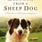 Lessons from a Sheep Dog