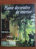 PLANTE DECORATIVE DE INTERIOR - URSULA KRUGER