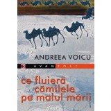 Ce fluiera camilele pe malul marii/Andreea Voicu