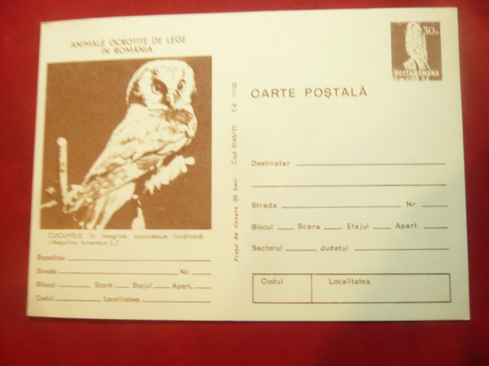 Carte Postala - Cucuvele - Animale Ocrotite de Lege cod 145/77