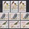 Bhutan 1968,1969 - Păsări, 3 Serii scurte, MNH