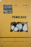 Pomologie - N. Ghena, Gr. Mihaescu