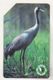 bnk card Cartele telefonice - Polonia - fauna - pasari