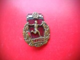 HOPCT INSIGNA UNGARIA H 7 -SPORTIVA MILITARA VECHE-MHK